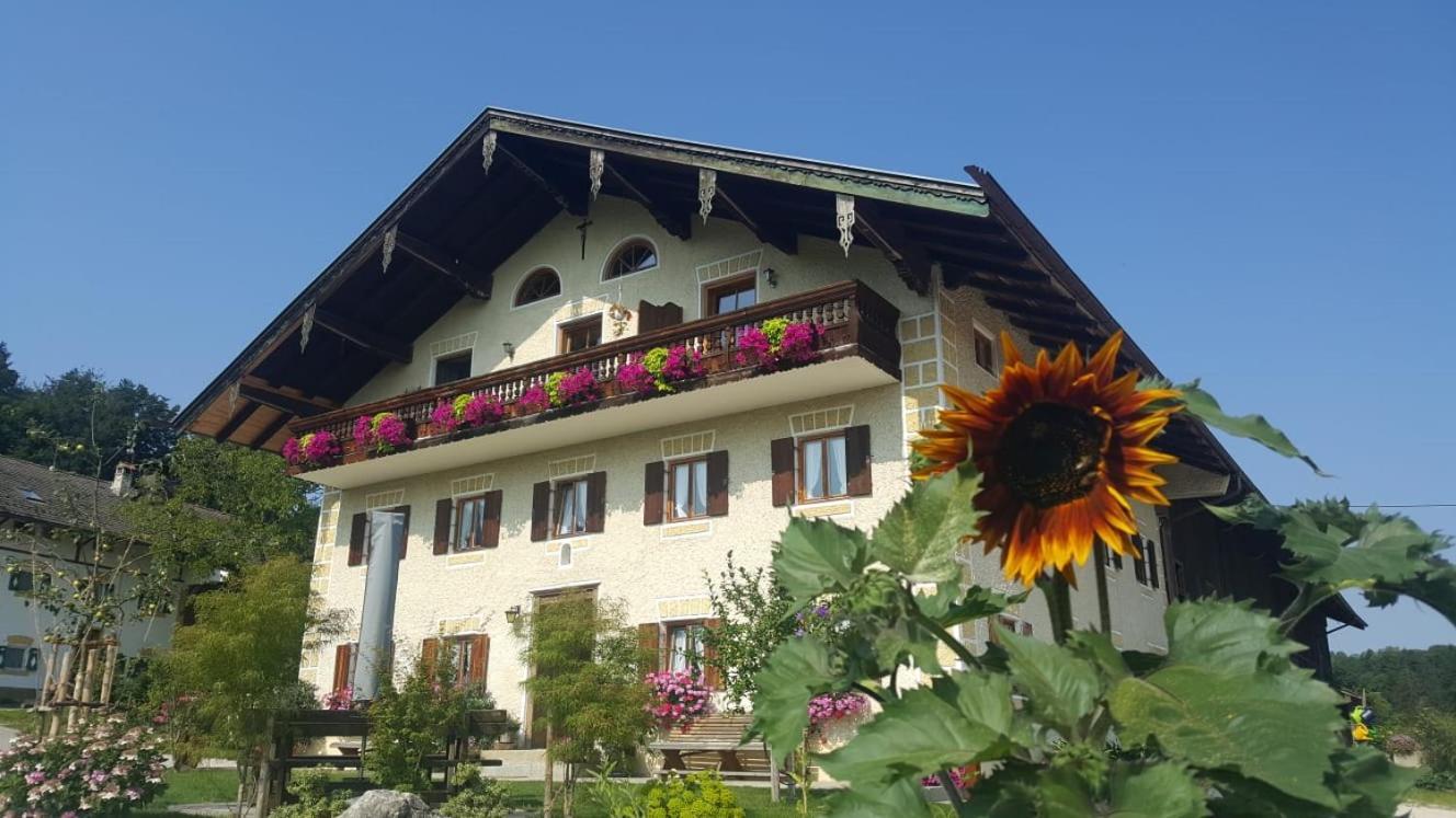 Weissnhof Villa Samerberg Dış mekan fotoğraf